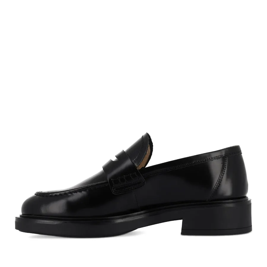 Harbor Walks Reptile Print CHERISH - BLACK HI SHINE