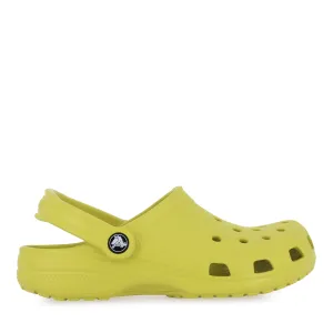 CLASSIC CLOG S24 - KIWI GREEN Street Walk