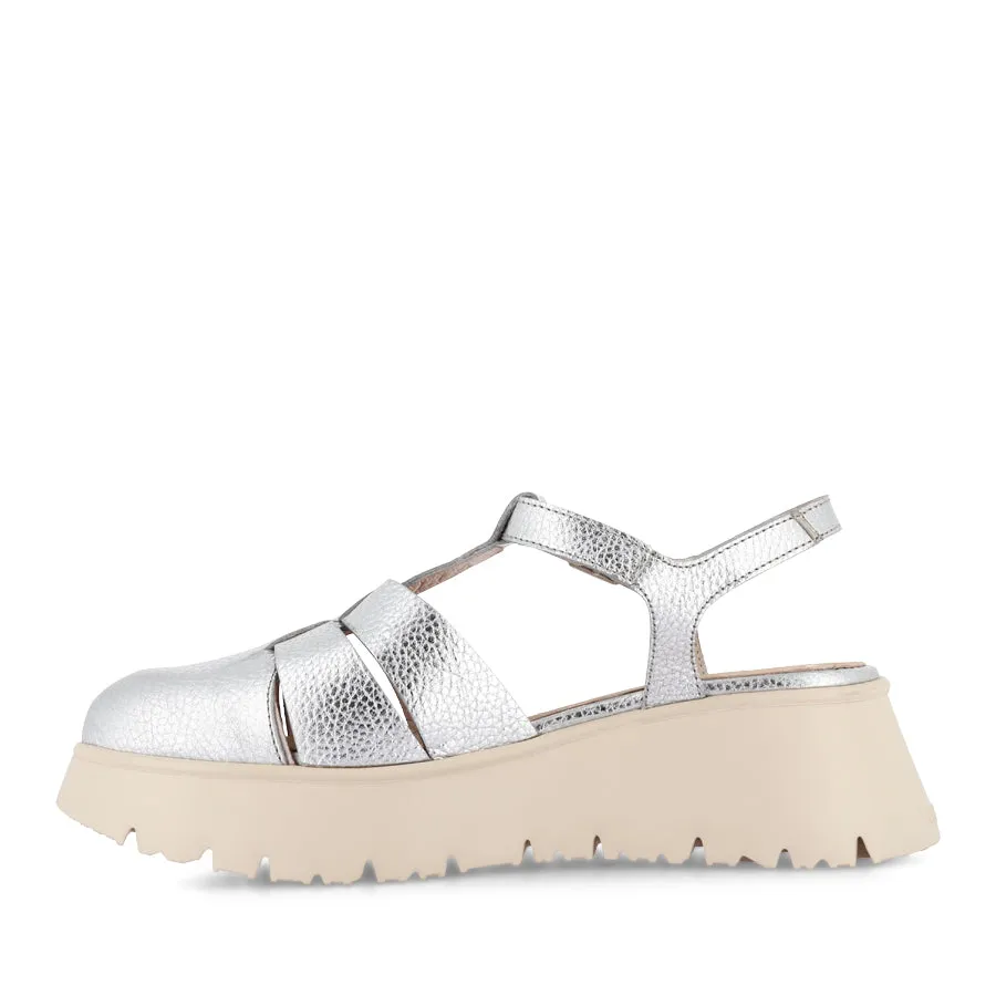 Pass Step CLEO C-7304 - SILVER LEATHER
