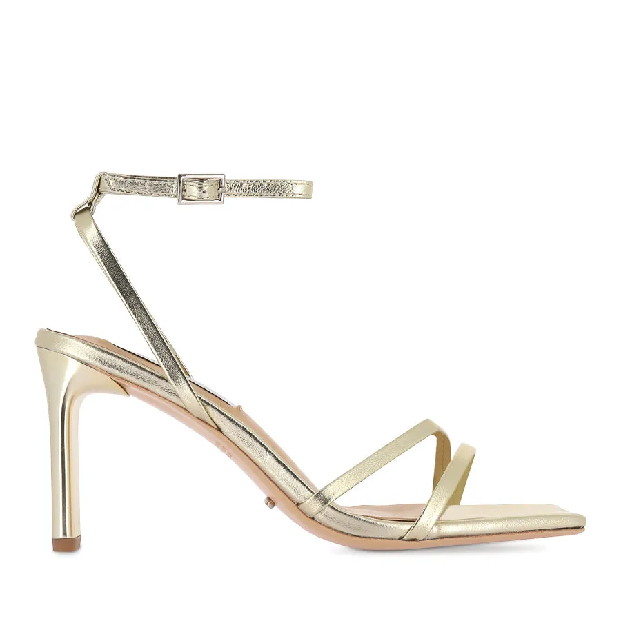 Deck Walk Field Walk CORSO - GOLD FOIL