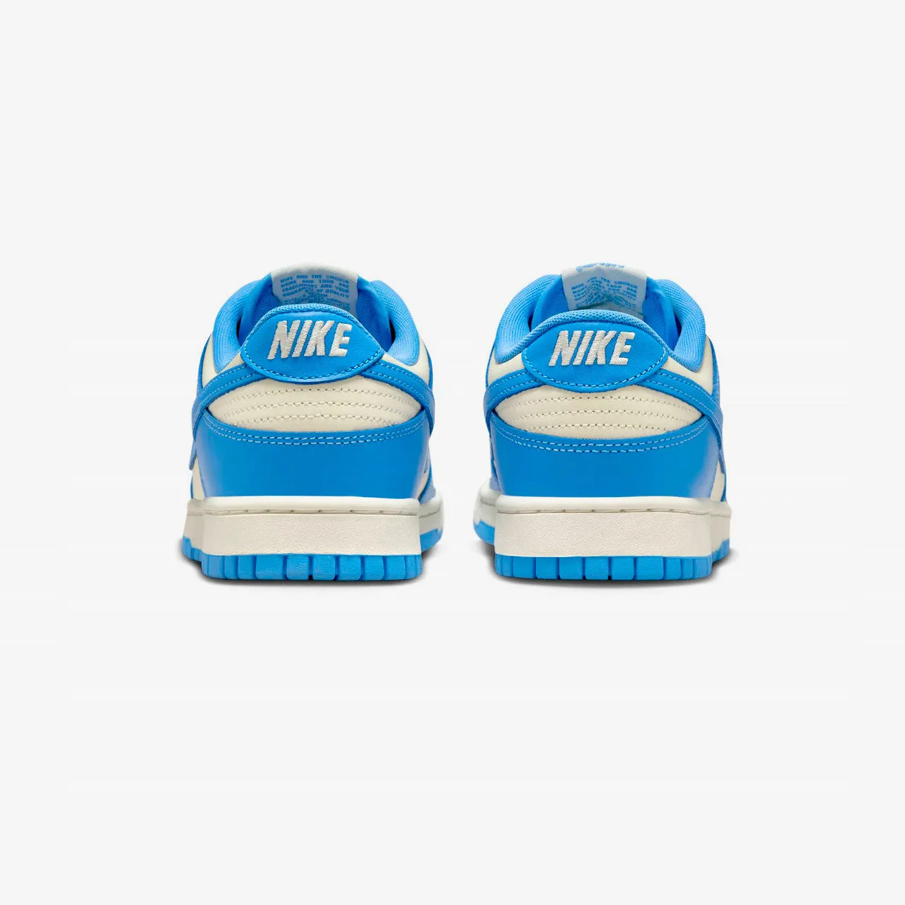 Dunk Low Retro Practical Decent
