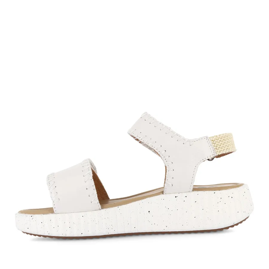 GALILEO - BONE MULTI Outdoor Leisure