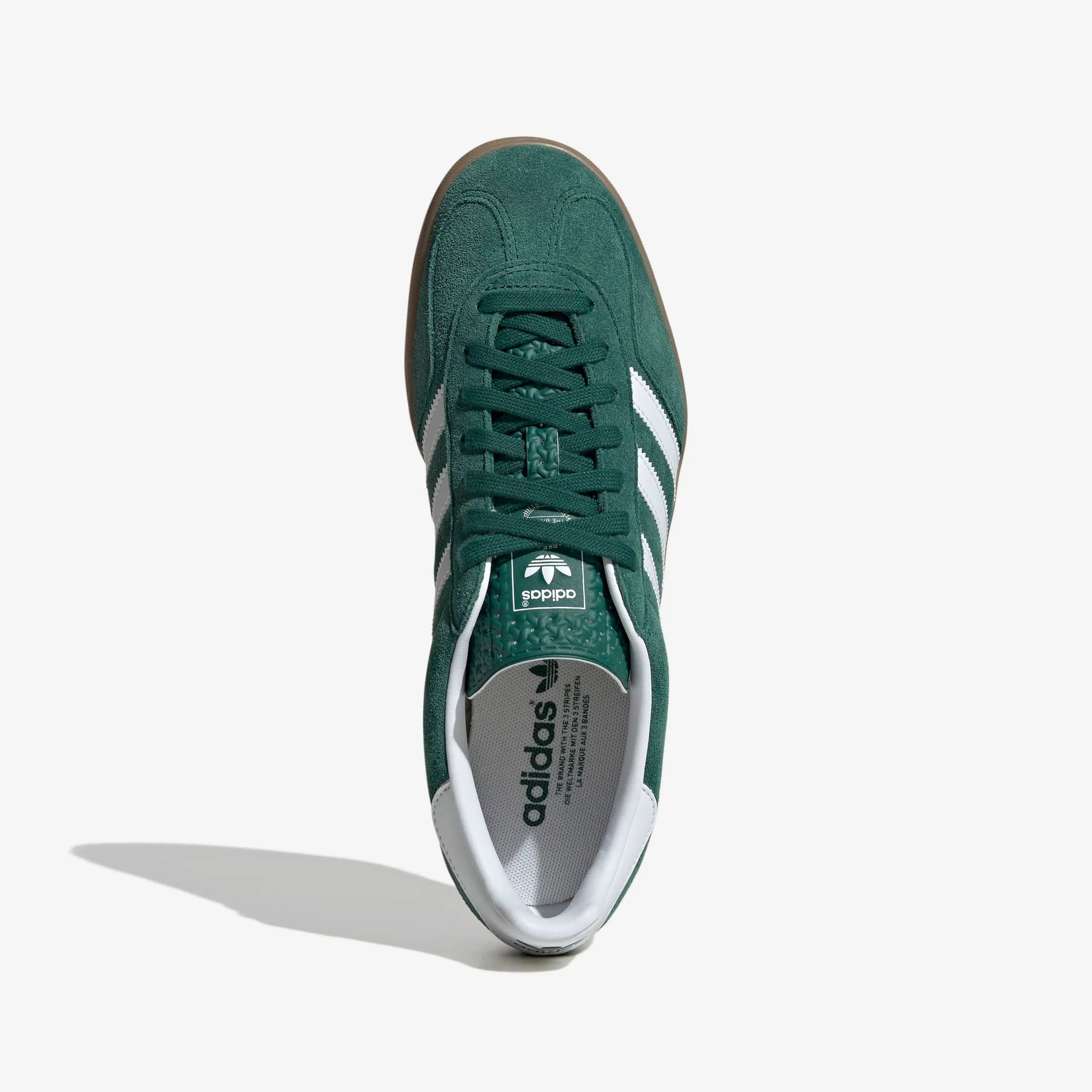 Gazelle Indoor eastern