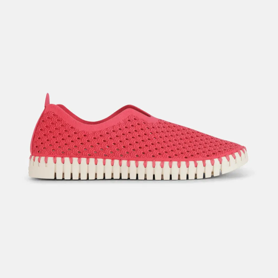 ILSE JACOBSEN TULIP - MAGENTA Skate Cool Joint Care
