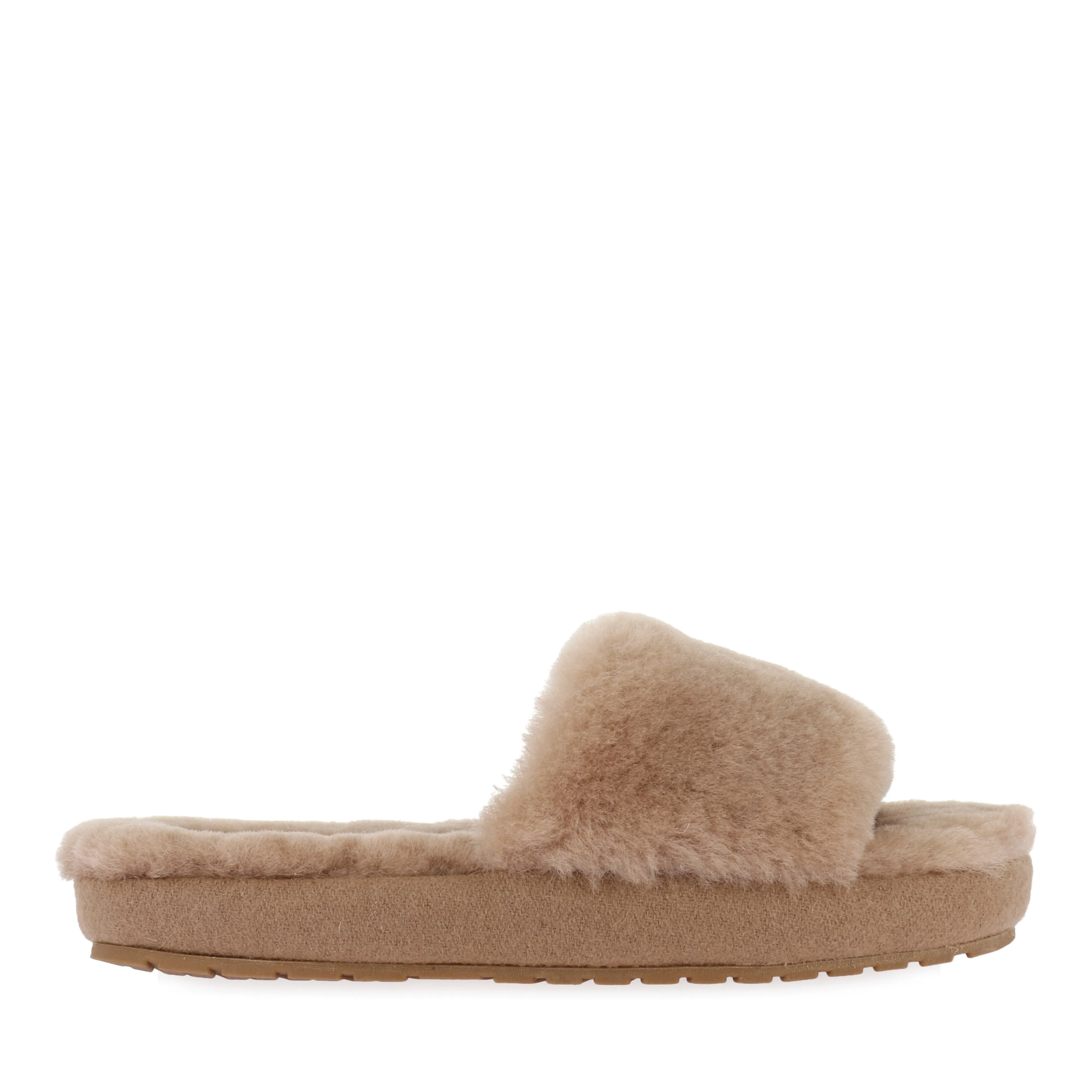 cushioned collar Comfortable Design MCKAY - CAMEL