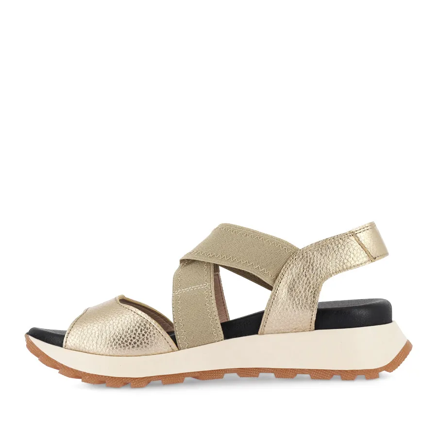 MAUI - ANTIQUE CHAMPAGNE MULTI Travel Comfort Shoes