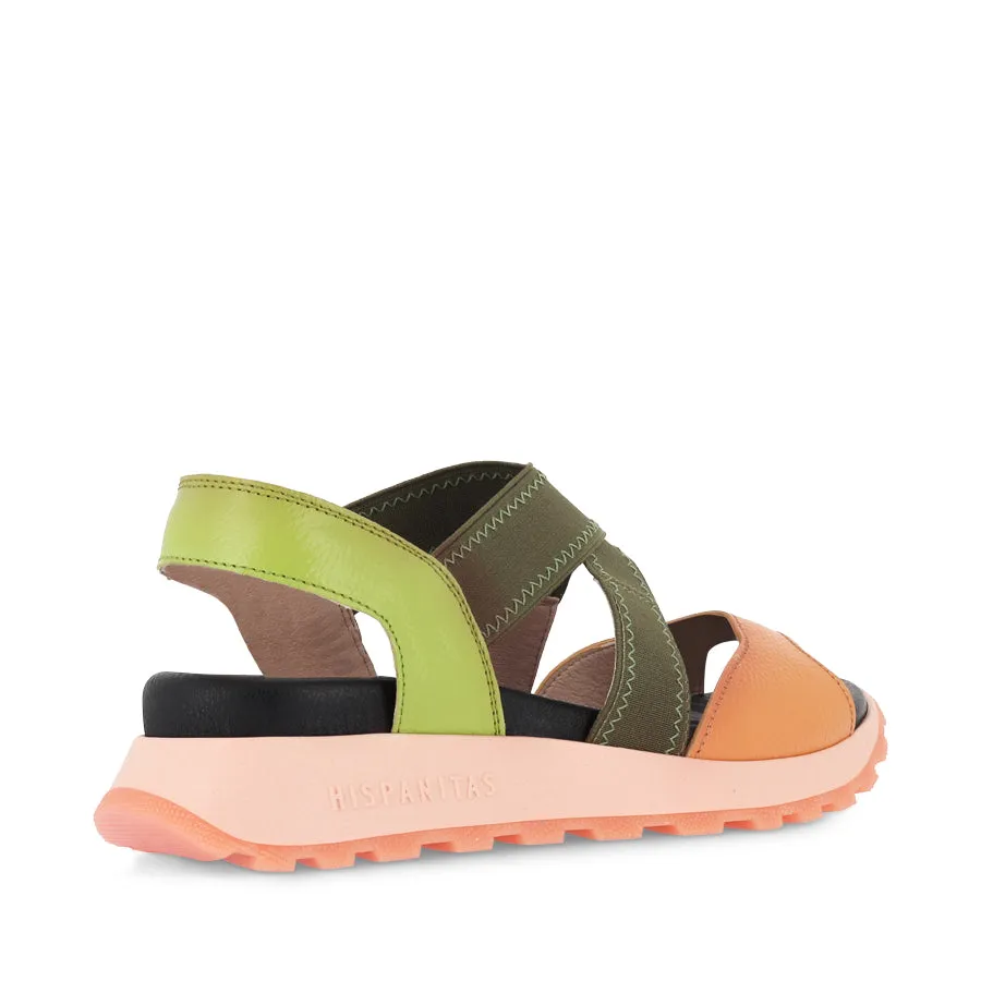 MAUI - KIWI MULTI Durable Design