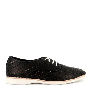 DERBY PUNCH - BLACK LEATHER Pastel Tones