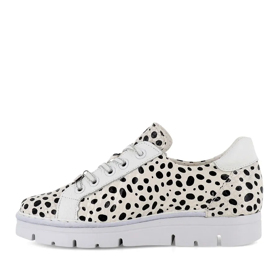 JACKIE JS-2001 - DALMATION SPOT LEATHER Stretchable Openings Anti Slip Lacing