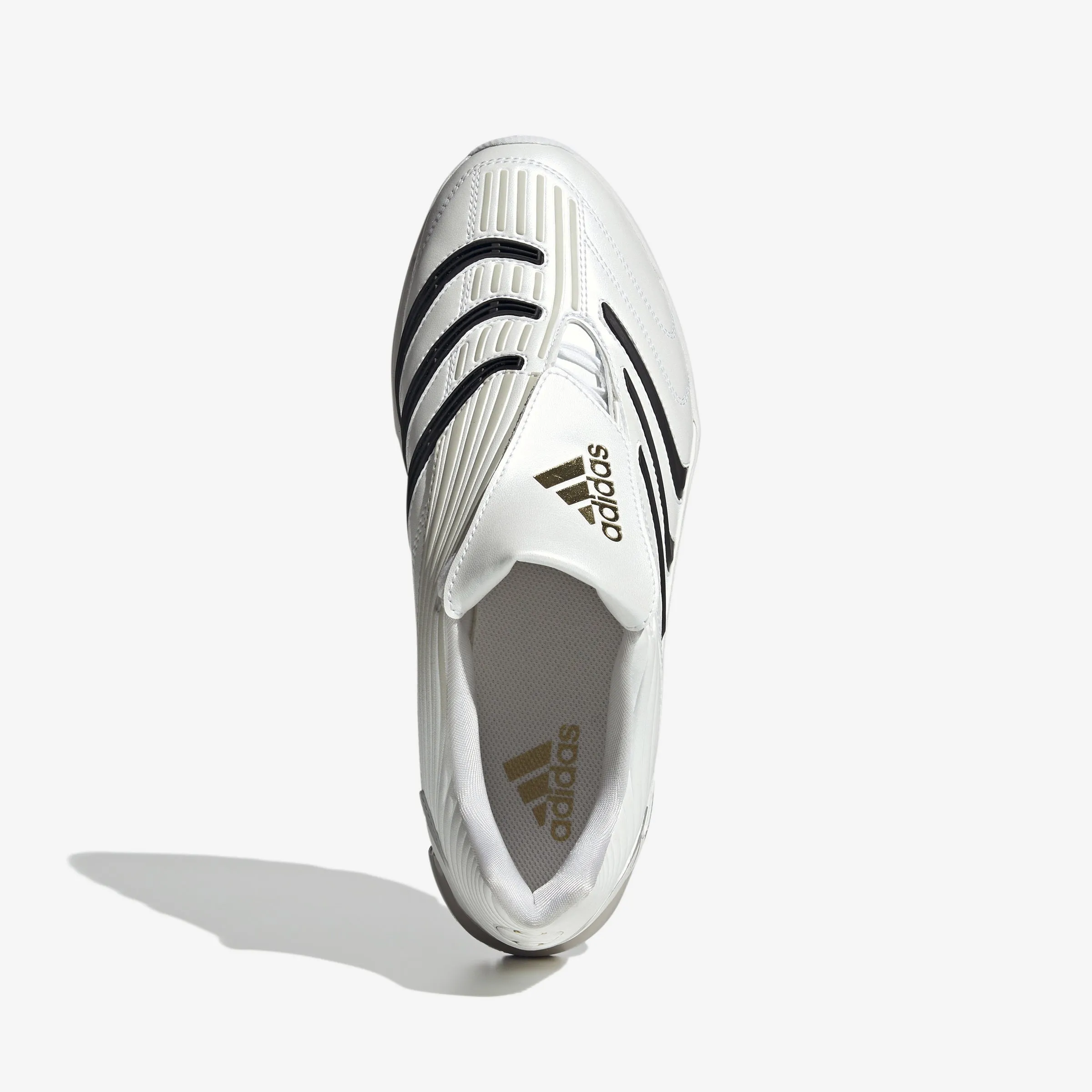 zip Predator Megaride