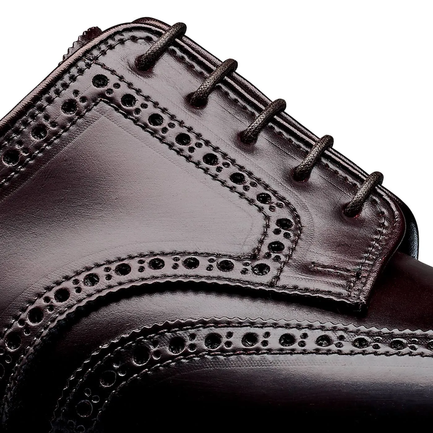 Pembroke Burgundy Cordovan Reptile Print