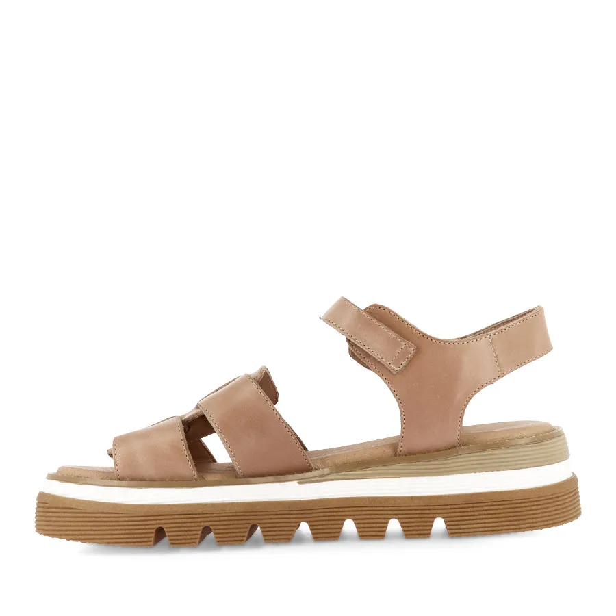 Clear Shape SIMM - CAPPUCCINO LEATHER