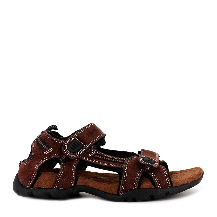 BROOME II - BROWN Day Glam Practical Design