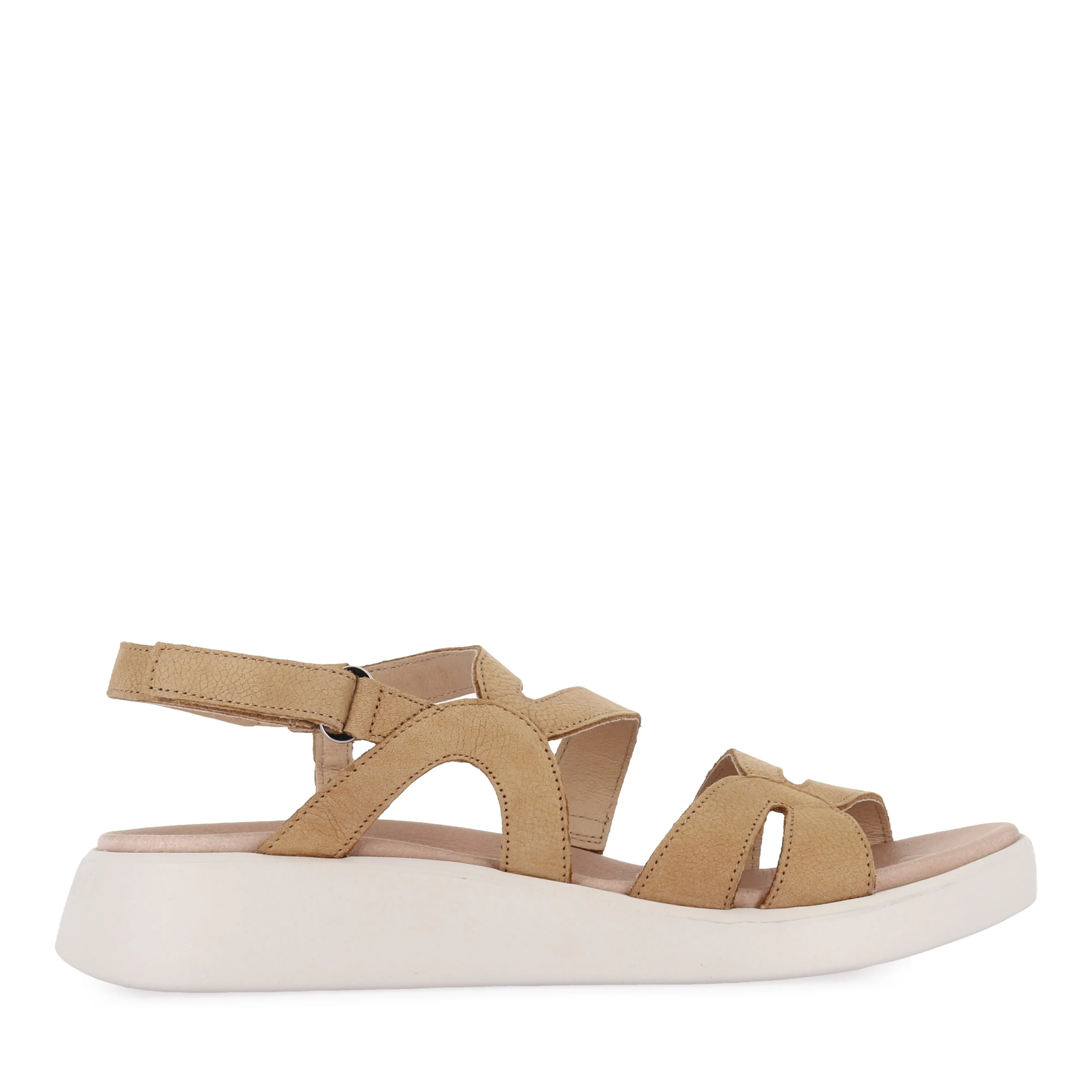 Camp Day Ventilated Design CAYLEE C-6534 - SAND NUBUCK