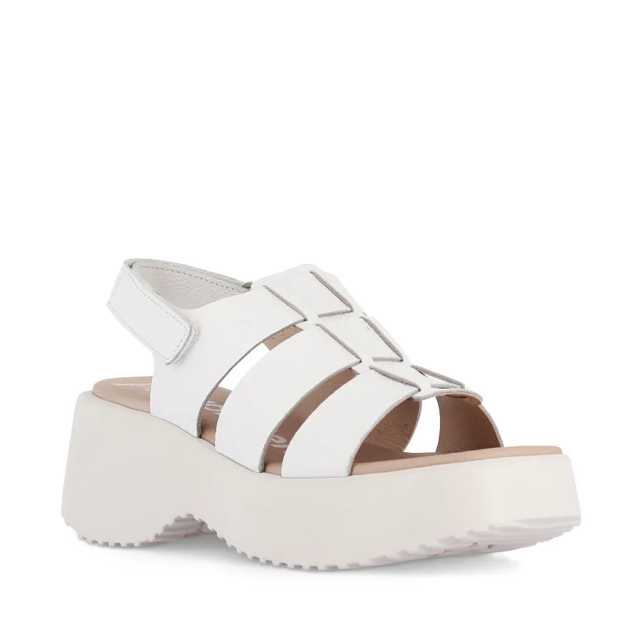 Foot-Friendly Design Sun Kissed DENVER D-9724 - WHITE LEATHER