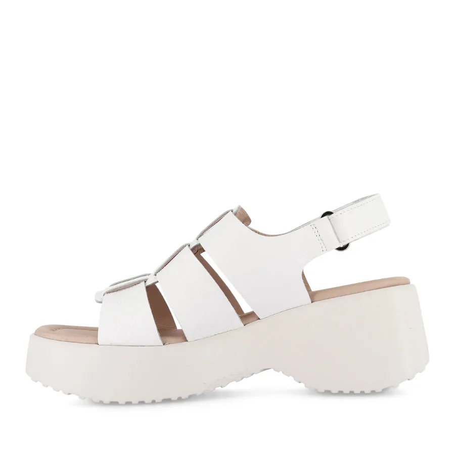Hot Weather Spring Ready DENVER D-9724 - WHITE LEATHER