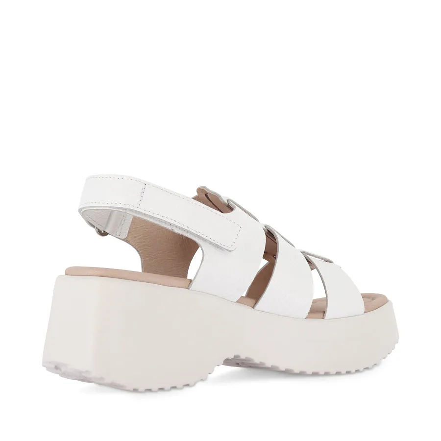 Japan Line Always Ready DENVER D-9724 - WHITE LEATHER