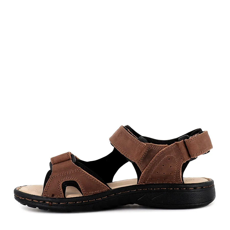 All Day Light Comfort KINGSMEN - TIMBER
