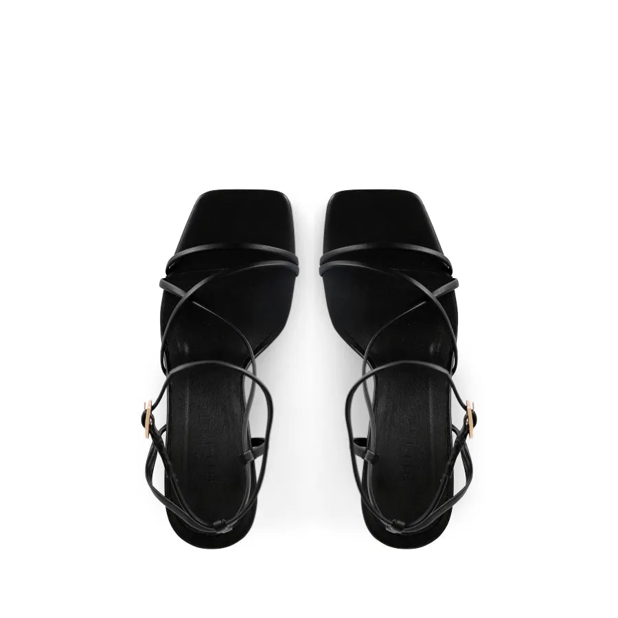Herb Walk STEVIE - BLACK