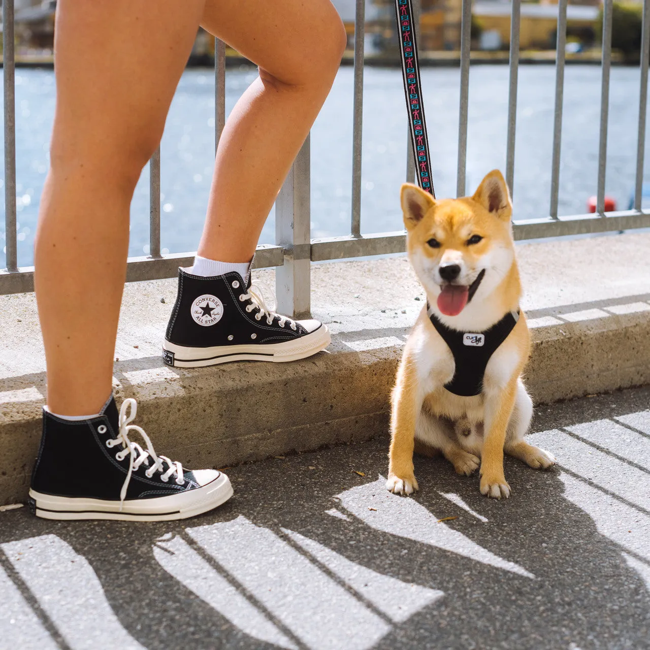 Chuck Taylor 70 Hi smallest