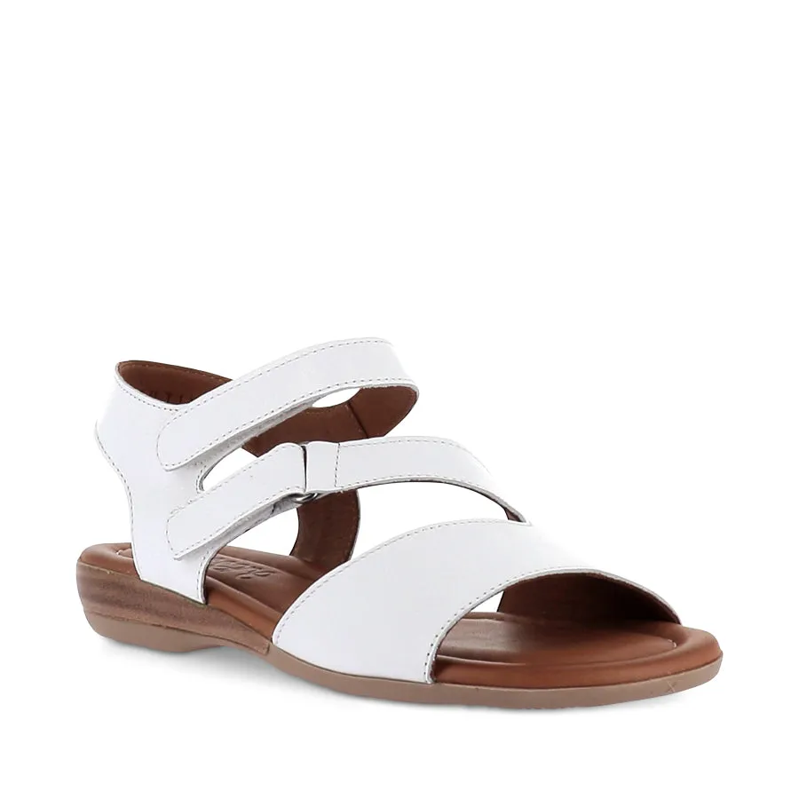 TAINTING - WHITE LEATHER Back Help