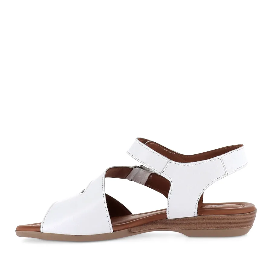 TAINTING - WHITE LEATHER Bay Walk