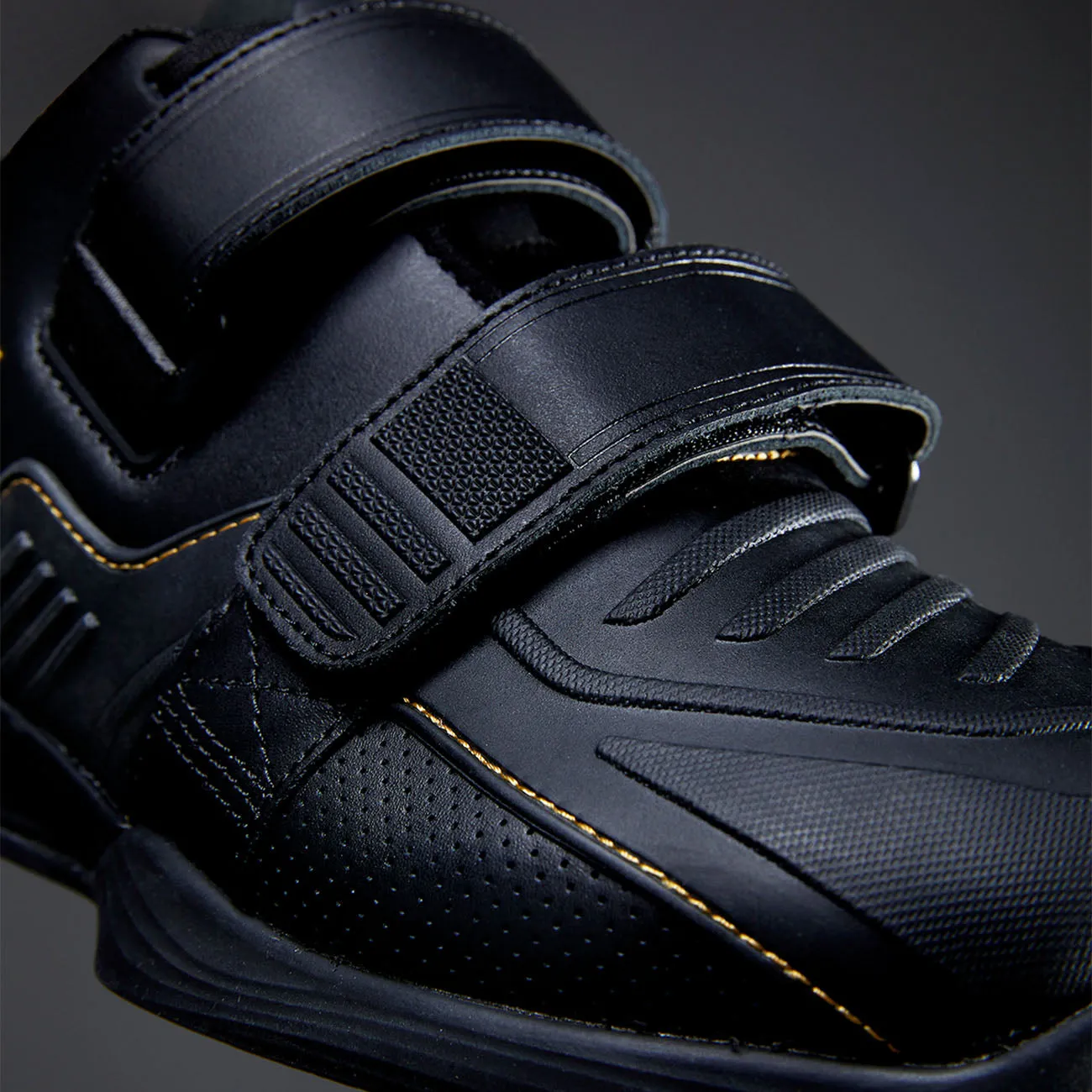 balance - maintenance - level Effortless Ease TYR L-2 Lifter