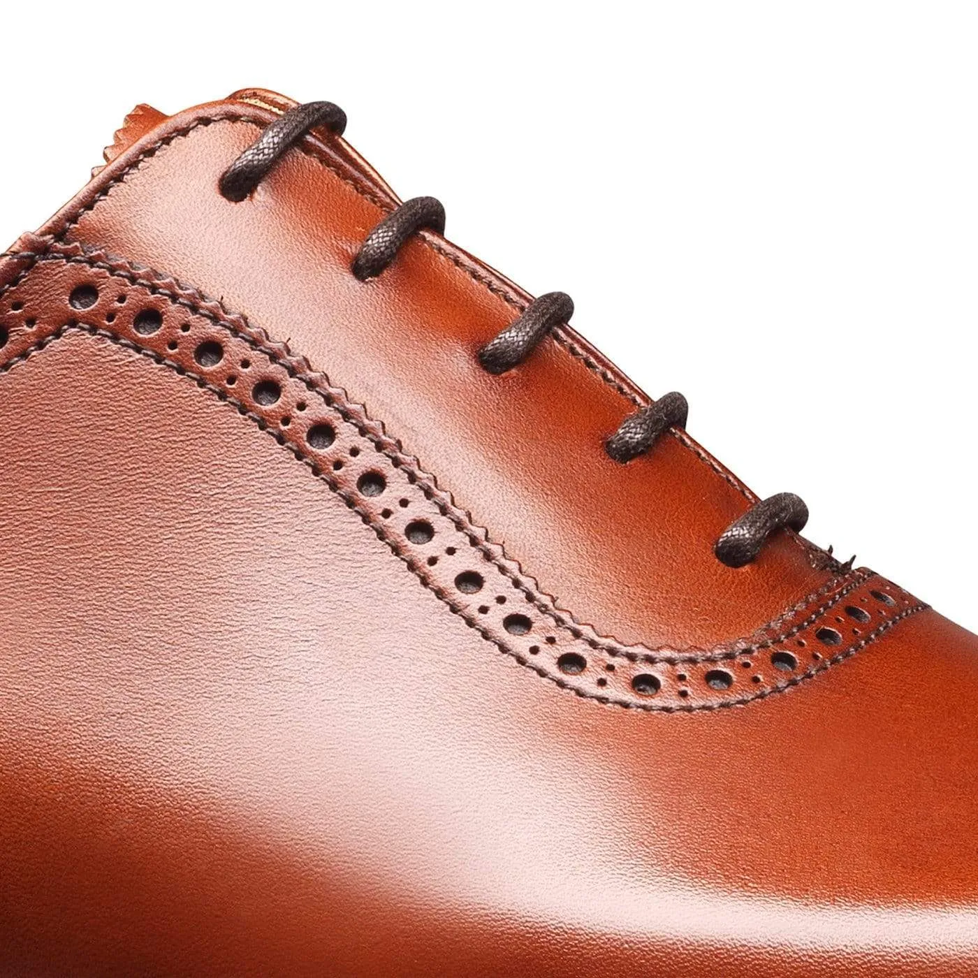 Westbourne Chestnut Burnished Calf Sharp Fit