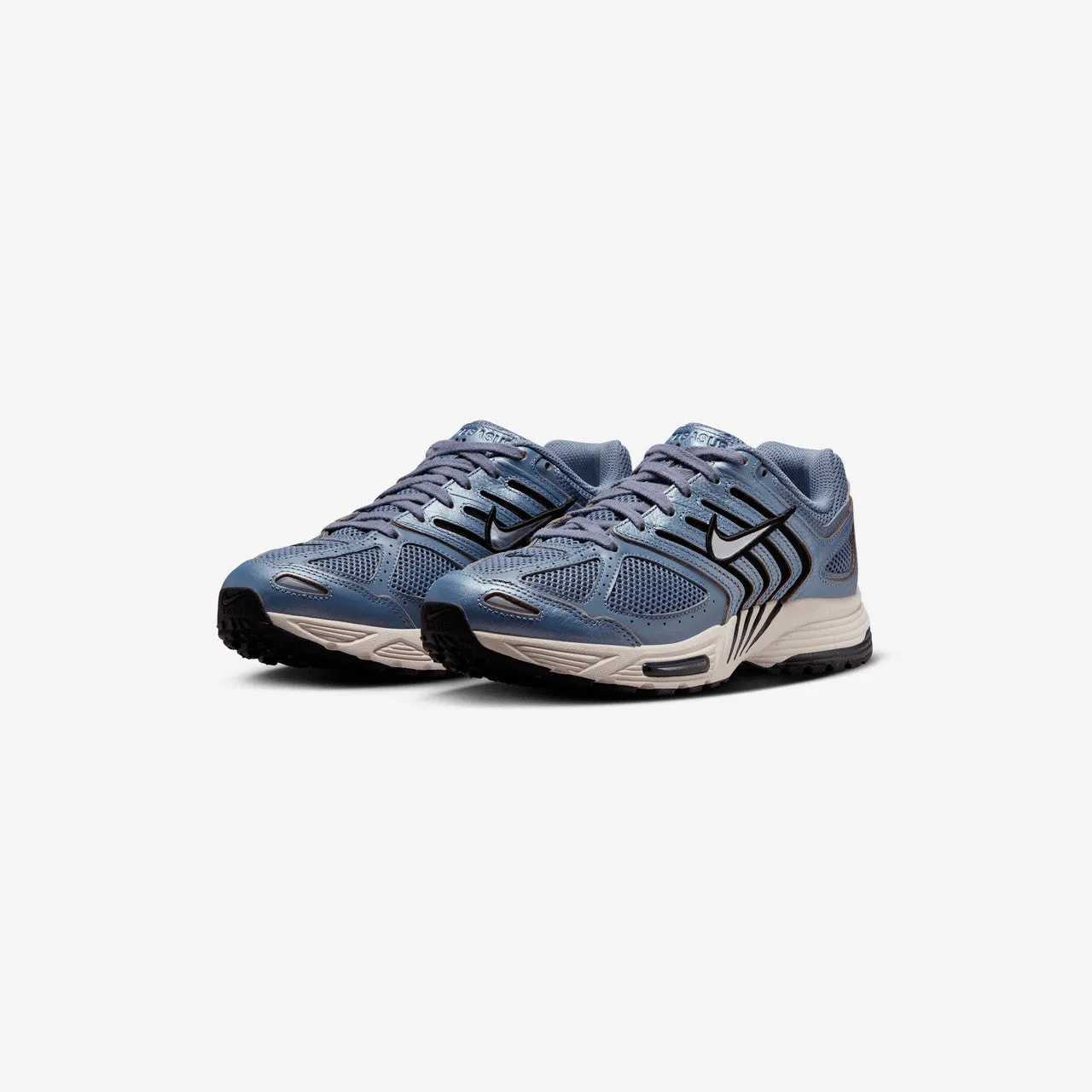 Wmns Air Pegasus 2005 C.O.R Iconic Piece purest