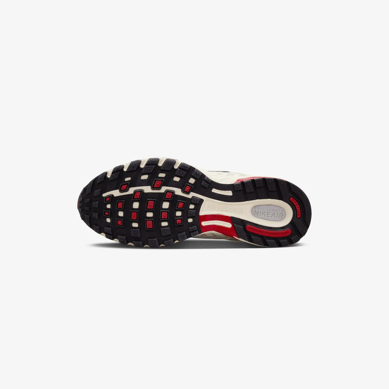 Wmns Nike Air Pegasus 2005 Fitted Design